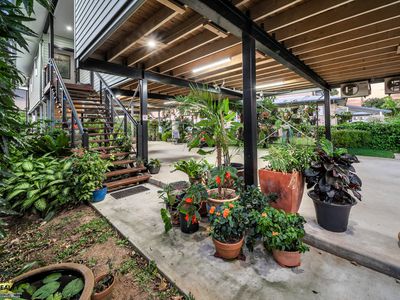 11A JODRELL STREET, Webb