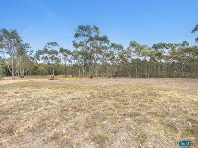 141 Wappentake Road, Heathcote