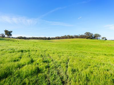 Lot 2 & 3 Leathbridge Road, Welshmans Reef