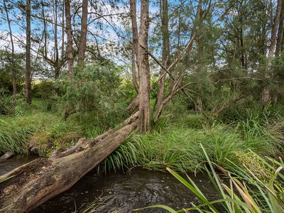 21-53 Algies Road, Belbora