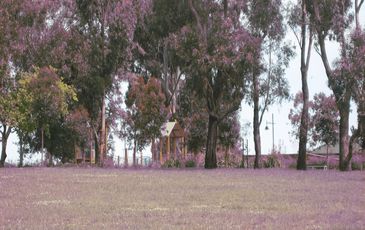 12 Flemington Rise, Officer