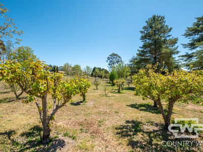 232 Red Range Road, Glen Innes