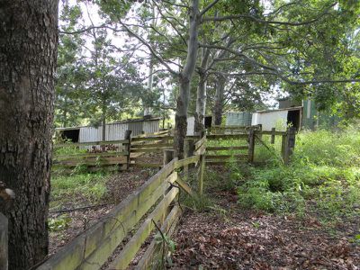32 McGinn Road, Gheerulla