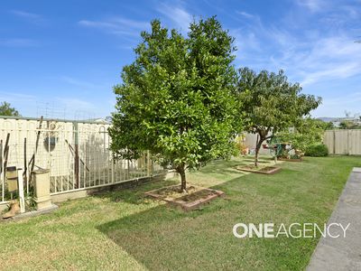 31 Vendetta Street, Nowra