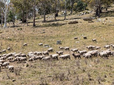 "Kheme Hill" Eastwood Road, York Plains