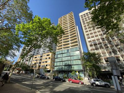 609 / 221 Miller street, North Sydney