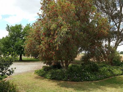 307 Hornsby Road, Cohuna