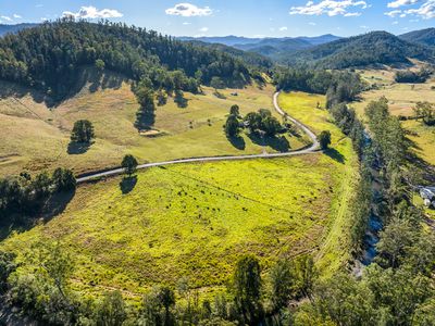 2667 Pappinbarra Road, Pappinbarra