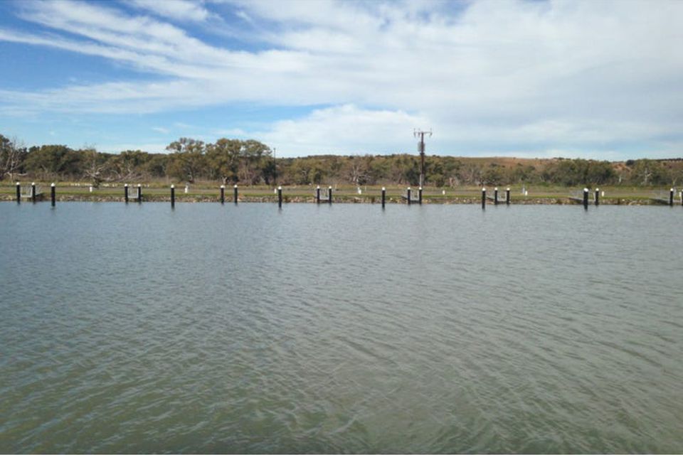 Berth 31 Pelican Drive, Mannum