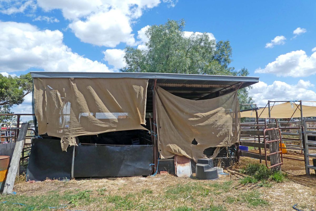 48 Martin Road, Stanhope