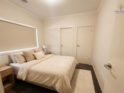19 Cobram Street, Tarneit