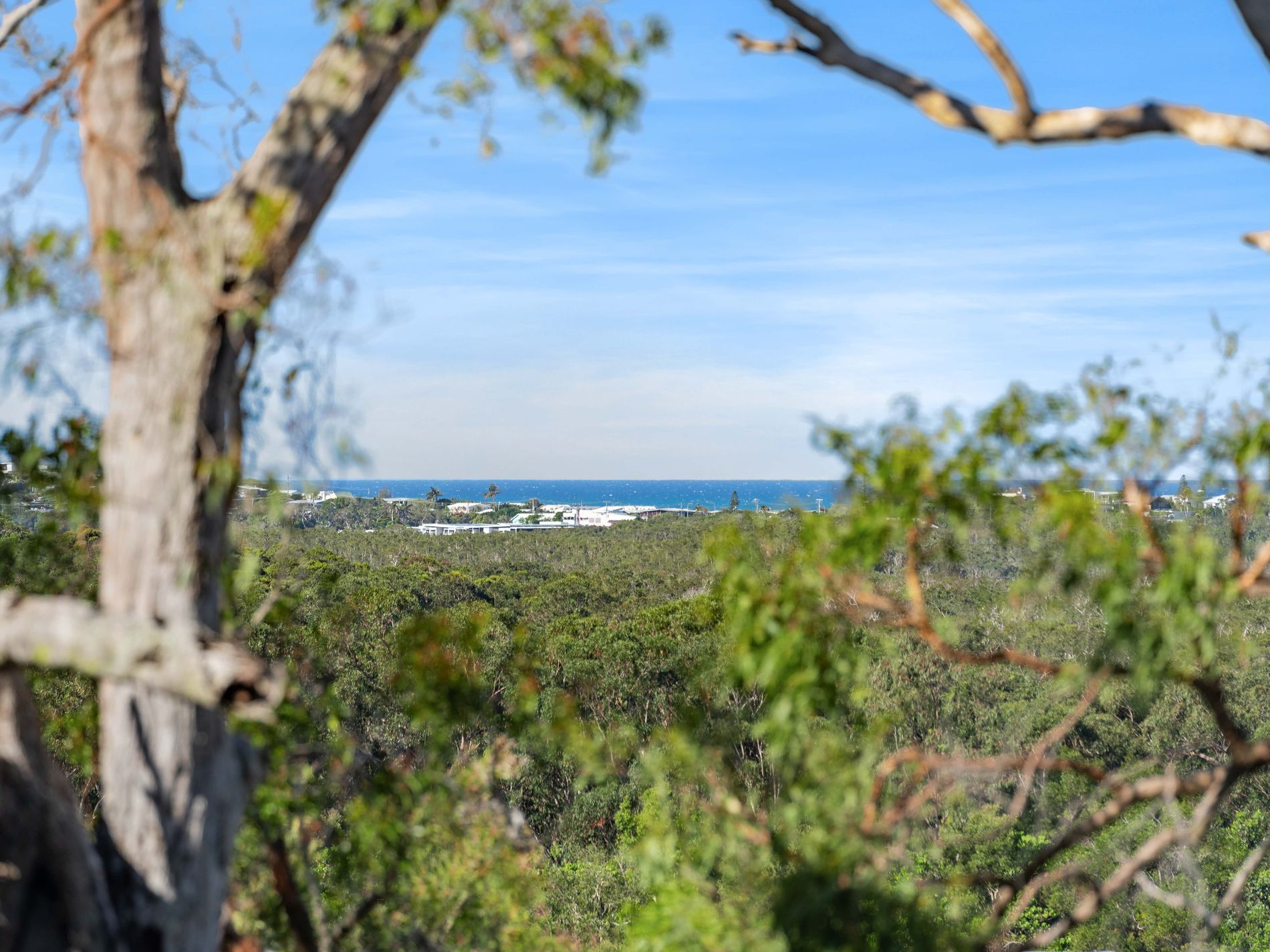 37 Pavilion Drive, Peregian Springs