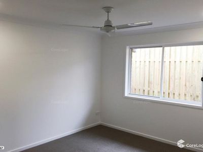 25 Bottle Brush Circuit, Coomera