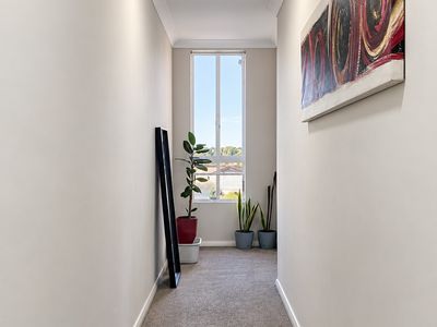 Mount Druitt