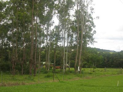 Atherton