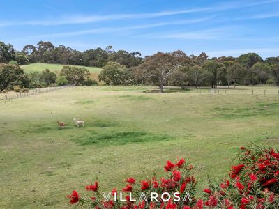 824 Teesdale-Inverleigh Road, Teesdale