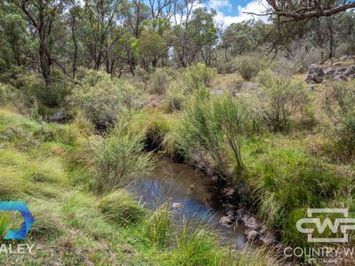 Lot 214, - Piggery Road, Red Range