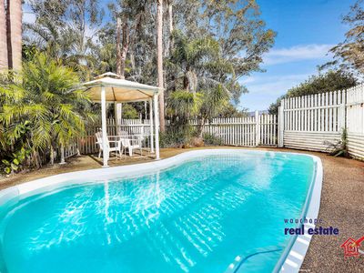 961 Comboyne Road, Byabarra