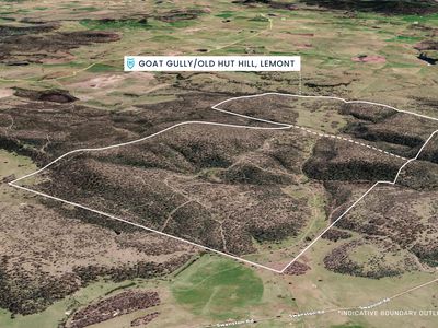 "Goat Gully/Old Hut Hill" Lemont Road, Lemont