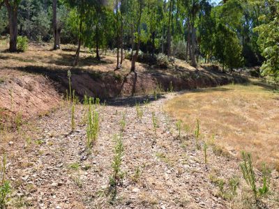 Lot 9, Diggings Road, Tawonga