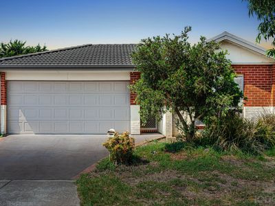 39 Everwin Drive, Werribee