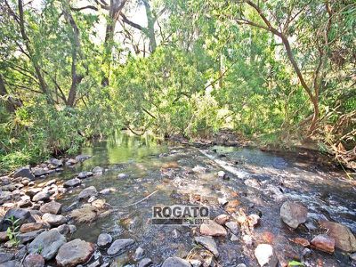 Lot 140, Carbeen Road, Walkamin