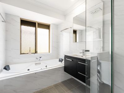 163 Rostrata Avenue, Willetton