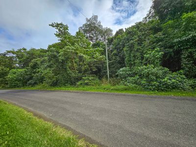 29 Weary Bay Road, Bloomfield