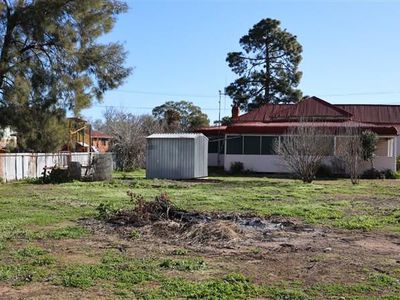 36 Linda Street, Forbes