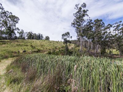 0 Walters Road, Wattle Grove