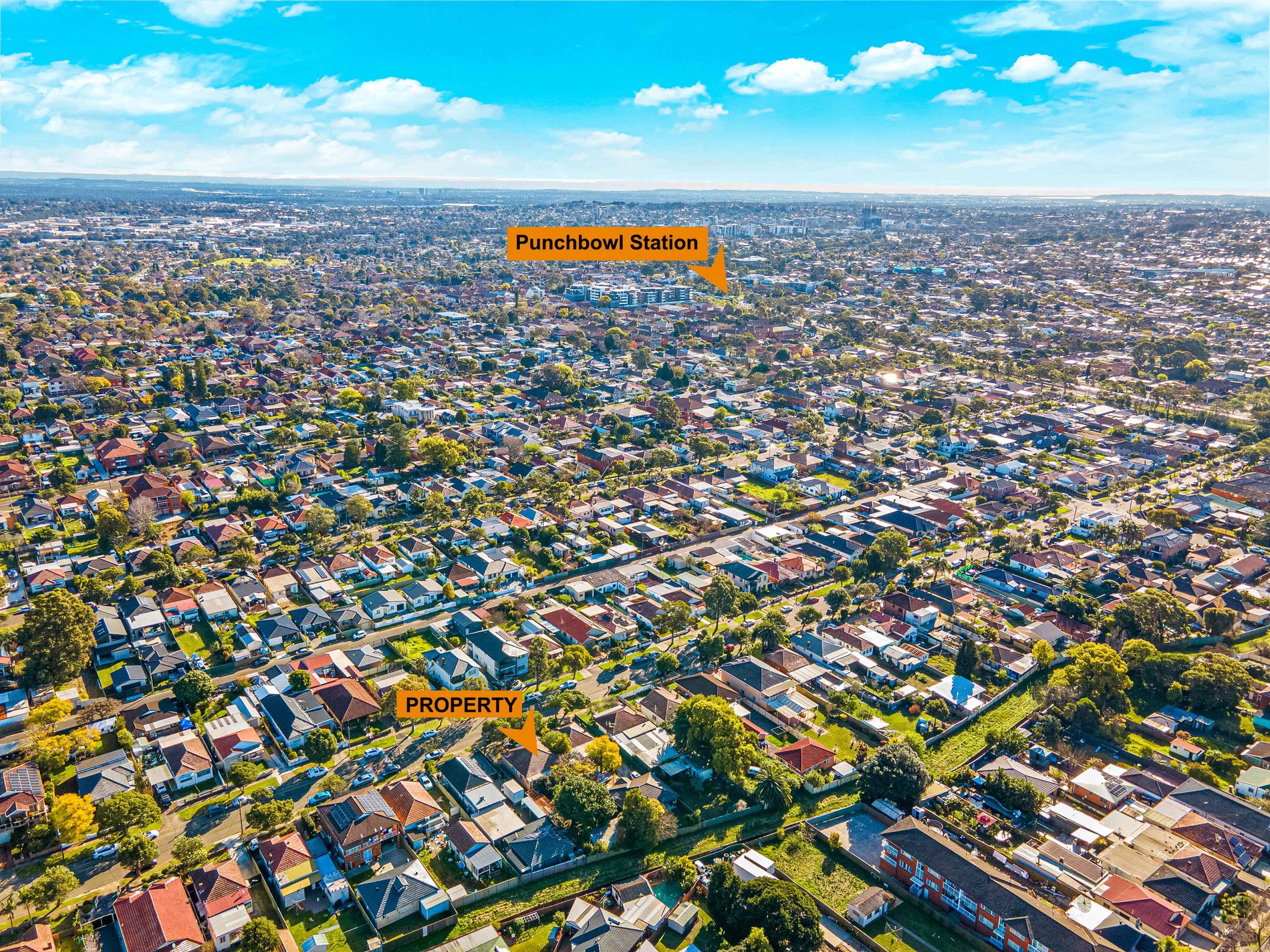 60 Renown Avenue, Wiley Park