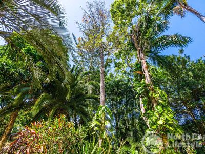 18 Elizabeth Avenue, South Golden Beach