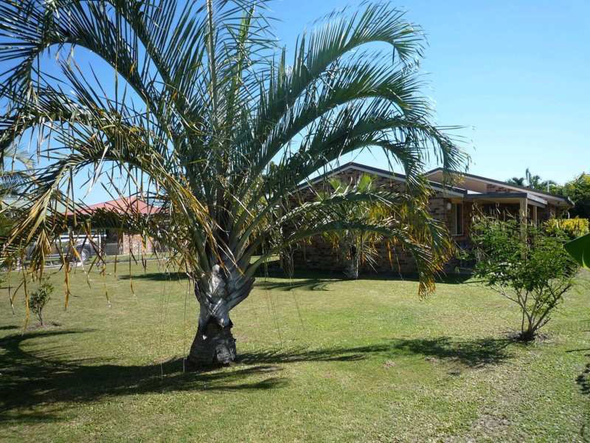 6 Rosella Way, Woodgate