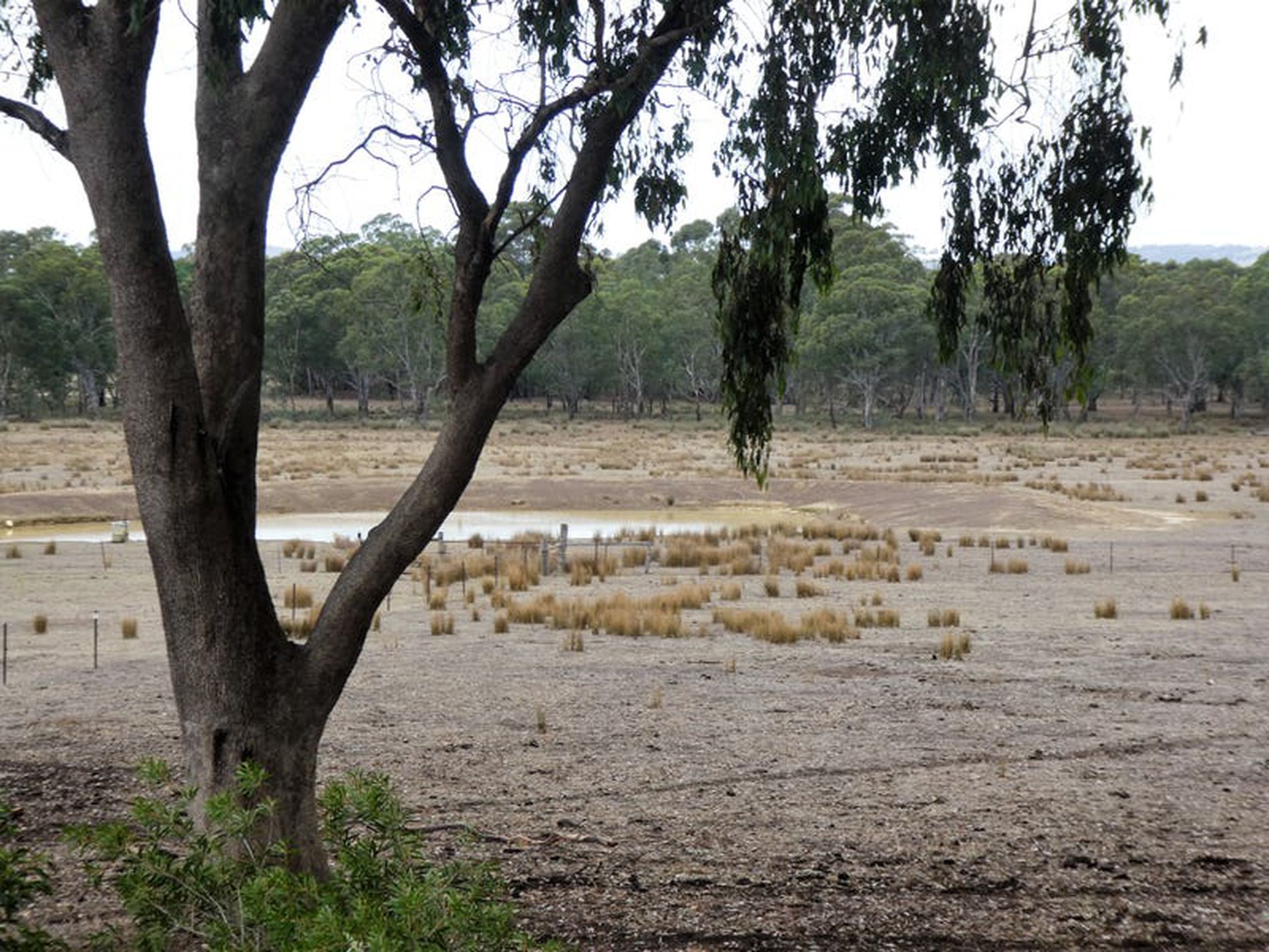 70 Cowles Rd, Northwood