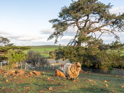 8385 Midland Highway, Tunbridge