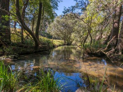 112 Homeleigh Road, Homeleigh via, Kyogle