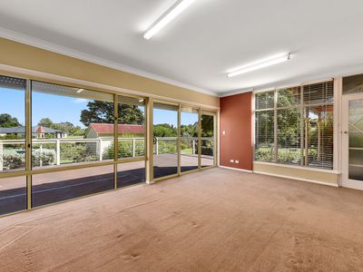 159 Williams Road, Millicent