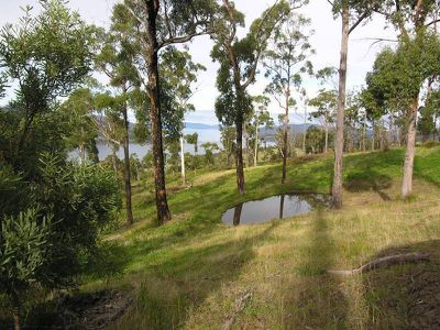 O'Hallarans Road, Geeveston