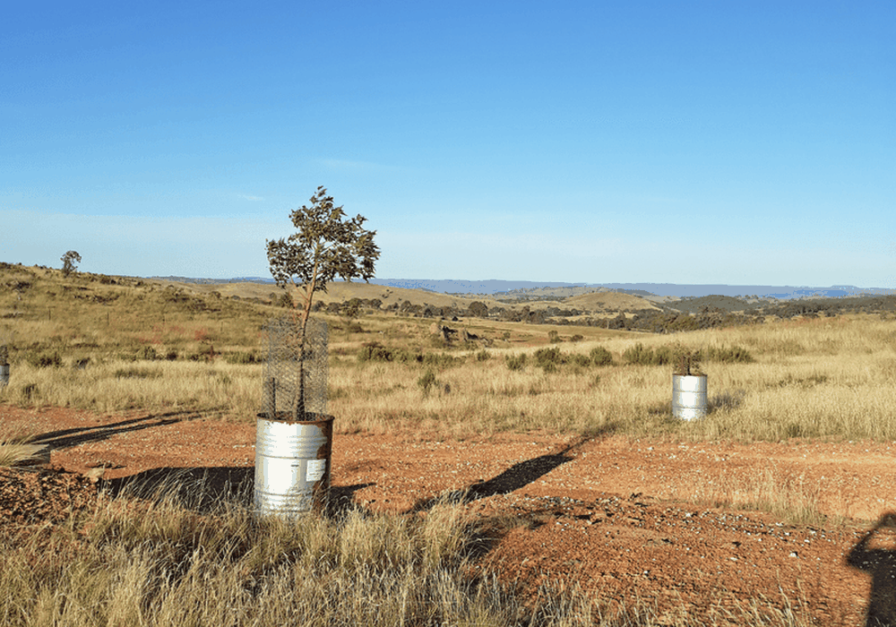 660 Kerrs Creek Road, Kerrs Creek
