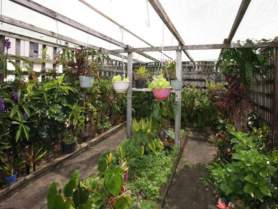 106 Glebe Road, Booval