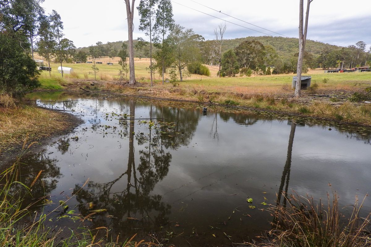 7 Hillville Road, Tinonee