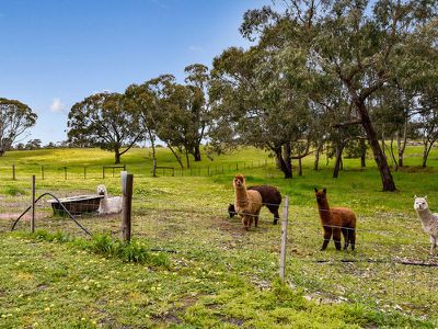 28133 Princes Highway, Hatherleigh