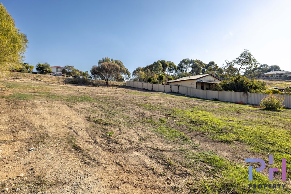 19 Grant Street, Long Gully