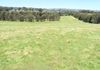 Lot 101 Strathmore Lane, Molong