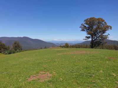 Lot 1 (51 Acres) Coal Mine Road, Kaoota