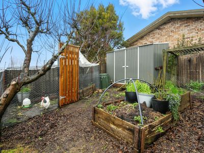 12 Armidale Street, Norwood