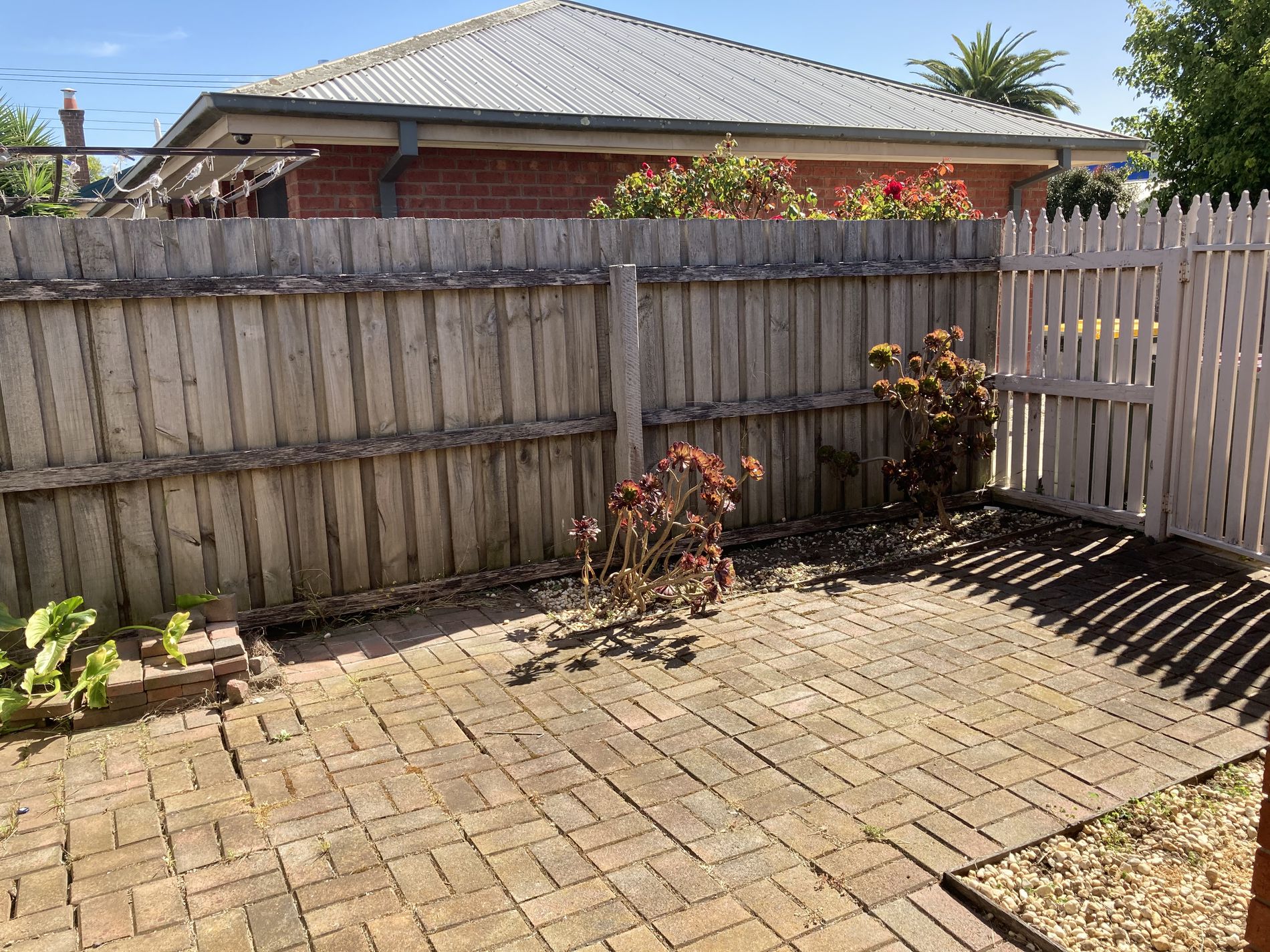 3 / 63 Church Street, Geelong West