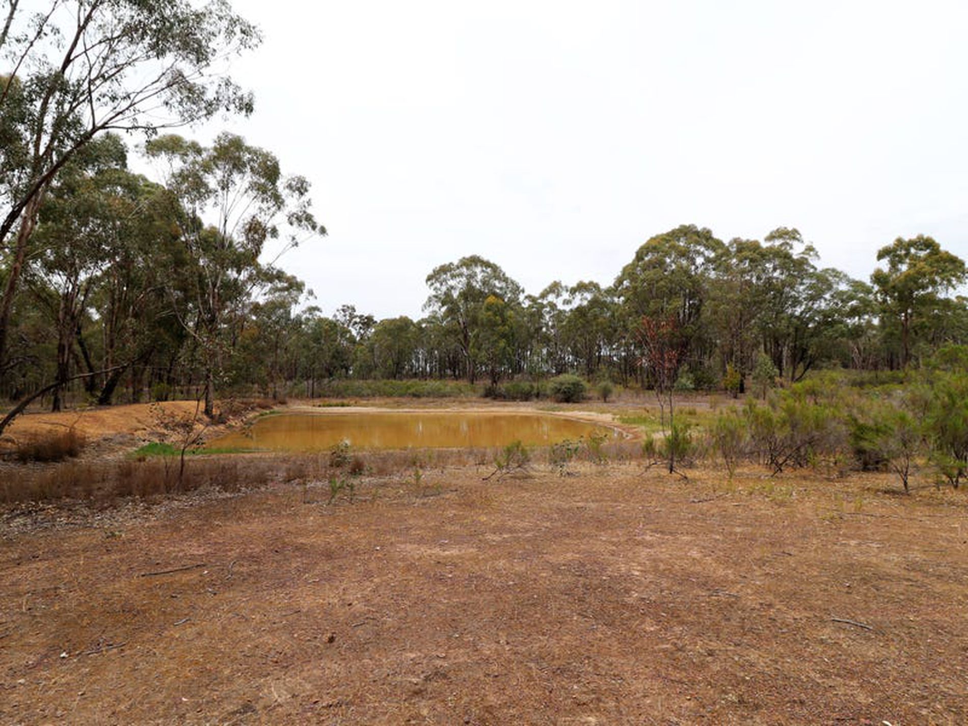 595 Bayles Road, Murchison