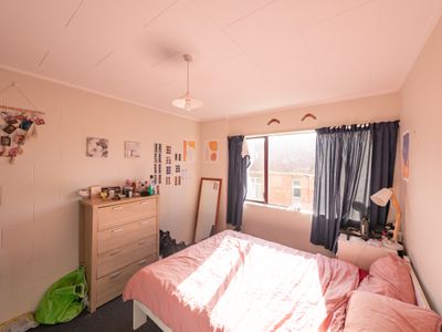 3 / 543 George Street, Dunedin North