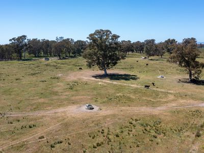 377 Laceby-Targoora Road, Laceby